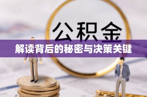 卢龙解读背后的秘密与决策关键