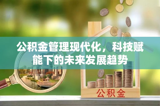 卢龙公积金管理现代化，科技赋能下的未来发展趋势
