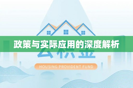 卢龙政策与实际应用的深度解析