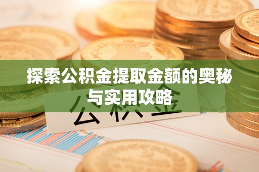 卢龙探索公积金提取金额的奥秘与实用攻略