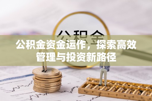 卢龙公积金资金运作，探索高效管理与投资新路径