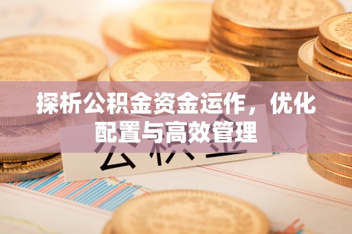 卢龙探析公积金资金运作，优化配置与高效管理