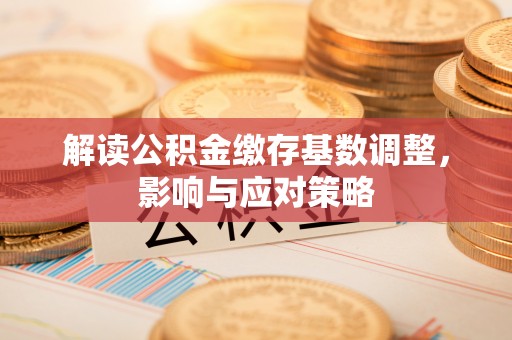 卢龙解读公积金缴存基数调整，影响与应对策略