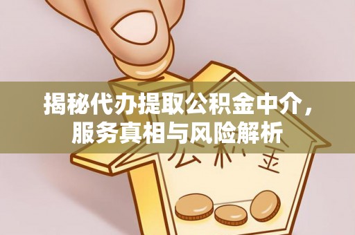 卢龙揭秘代办提取公积金中介，服务真相与风险解析