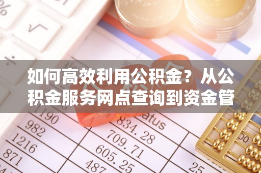 卢龙如何高效利用公积金？从公积金服务网点查询到资金管理全攻略