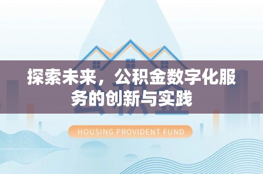 卢龙探索未来，公积金数字化服务的创新与实践