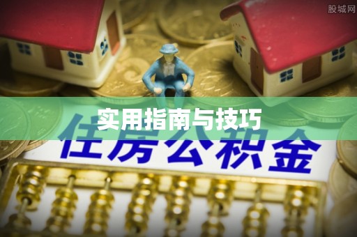 卢龙实用指南与技巧