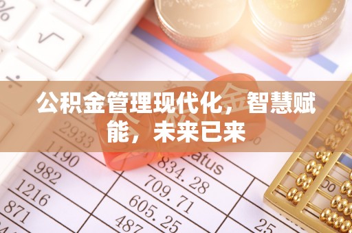 卢龙公积金管理现代化，智慧赋能，未来已来
