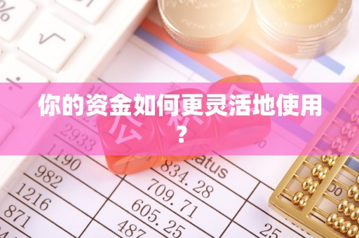 卢龙你的资金如何更灵活地使用？