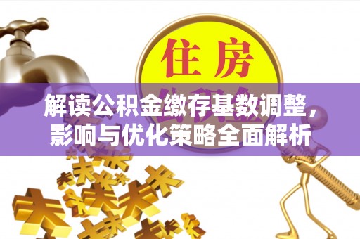 卢龙解读公积金缴存基数调整，影响与优化策略全面解析