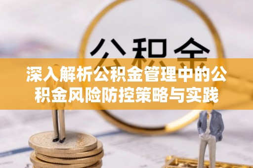 卢龙深入解析公积金管理中的公积金风险防控策略与实践