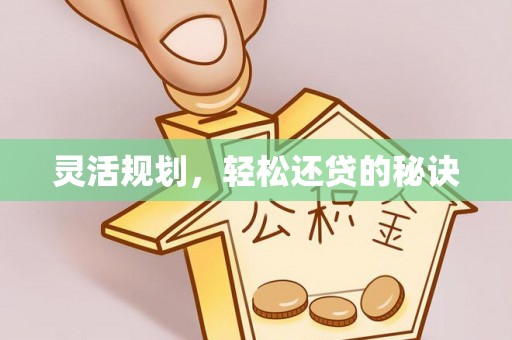 卢龙灵活规划，轻松还贷的秘诀