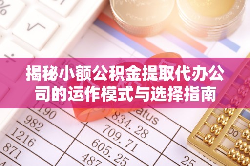 卢龙揭秘小额公积金提取代办公司的运作模式与选择指南