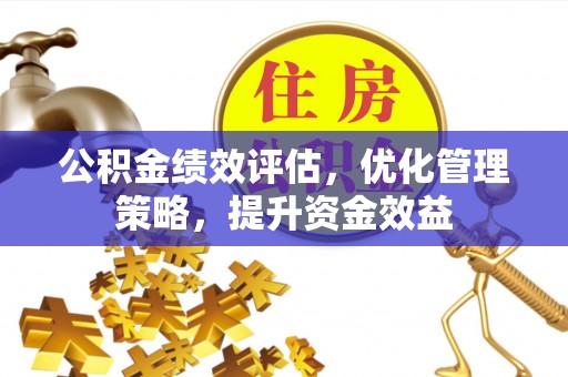 卢龙公积金绩效评估，优化管理策略，提升资金效益