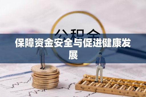 卢龙保障资金安全与促进健康发展