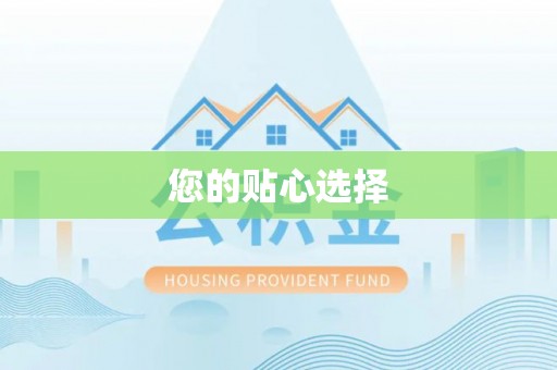卢龙您的贴心选择
