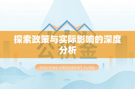 卢龙探索政策与实际影响的深度分析