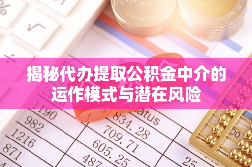 卢龙揭秘代办提取公积金中介的运作模式与潜在风险
