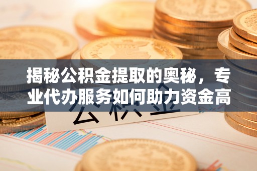 卢龙揭秘公积金提取的奥秘，专业代办服务如何助力资金高效管理