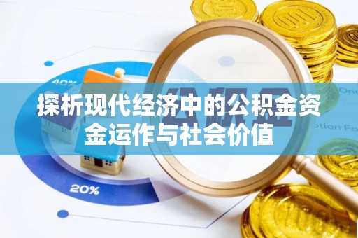 卢龙探析现代经济中的公积金资金运作与社会价值