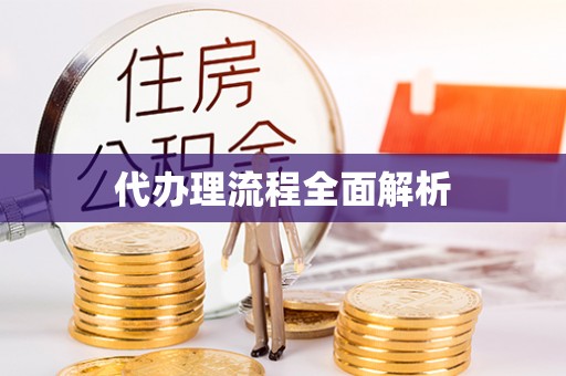 卢龙代办理流程全面解析