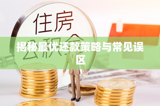 卢龙揭秘最优还款策略与常见误区