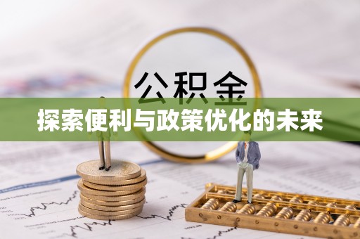 卢龙探索便利与政策优化的未来