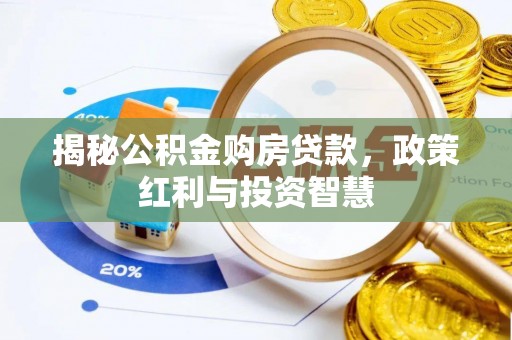 卢龙揭秘公积金购房贷款，政策红利与投资智慧
