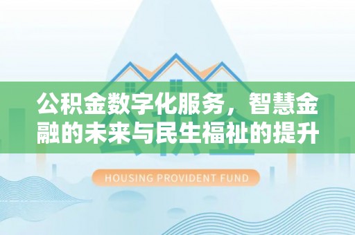 卢龙公积金数字化服务，智慧金融的未来与民生福祉的提升