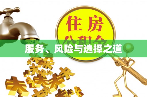 卢龙服务、风险与选择之道