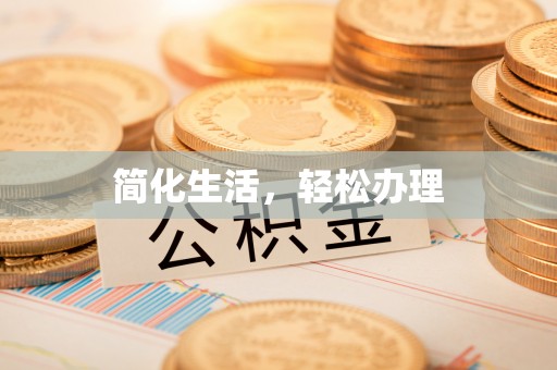 卢龙简化生活，轻松办理
