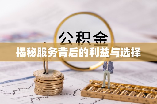 卢龙揭秘服务背后的利益与选择