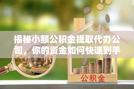 卢龙揭秘小额公积金提取代办公司，你的资金如何快速到手？