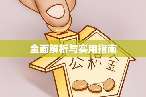 卢龙全面解析与实用指南