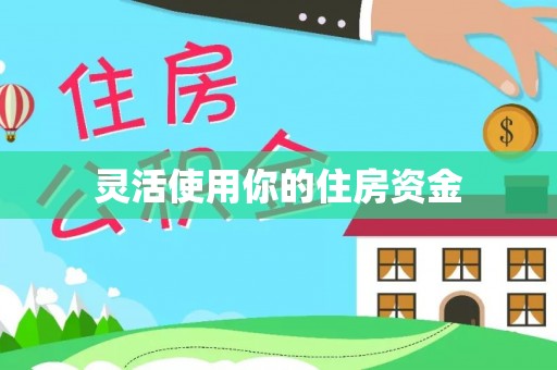 卢龙灵活使用你的住房资金