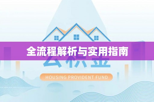 卢龙全流程解析与实用指南