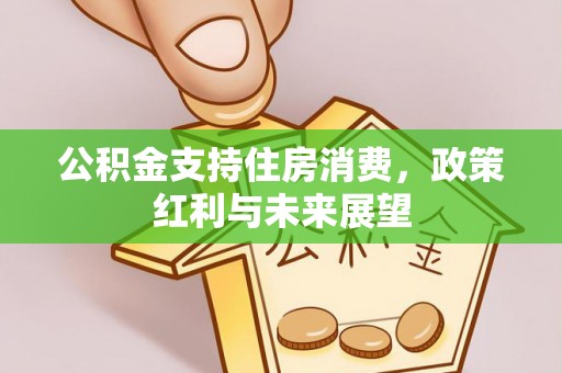 卢龙公积金支持住房消费，政策红利与未来展望