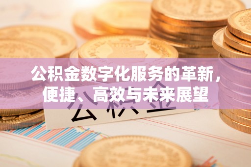 卢龙公积金数字化服务的革新，便捷、高效与未来展望