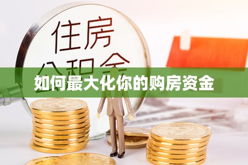 卢龙如何最大化你的购房资金
