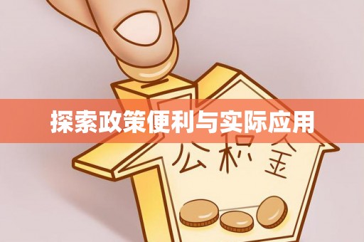 卢龙探索政策便利与实际应用
