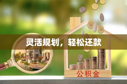 卢龙灵活规划，轻松还款