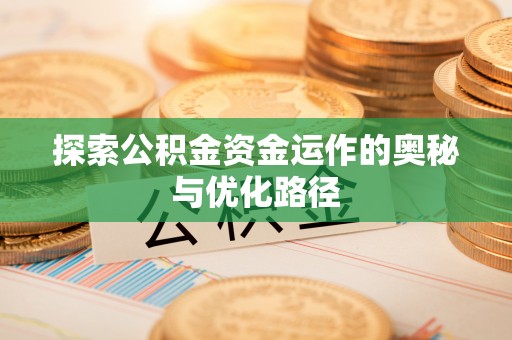 卢龙探索公积金资金运作的奥秘与优化路径