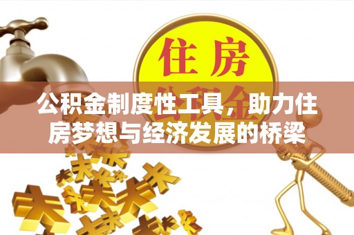 卢龙公积金制度性工具，助力住房梦想与经济发展的桥梁