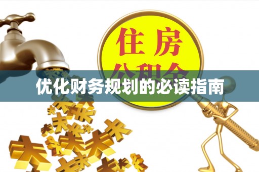 卢龙优化财务规划的必读指南