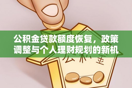 卢龙公积金贷款额度恢复，政策调整与个人理财规划的新机遇