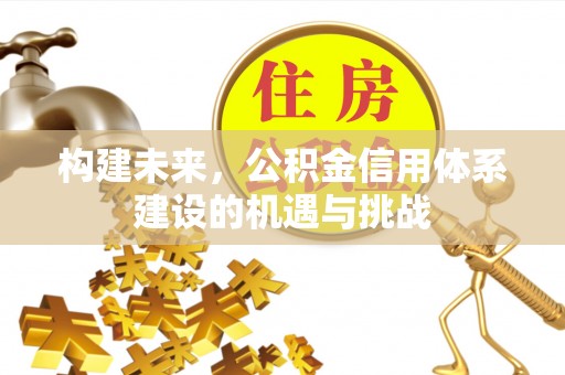 卢龙构建未来，公积金信用体系建设的机遇与挑战