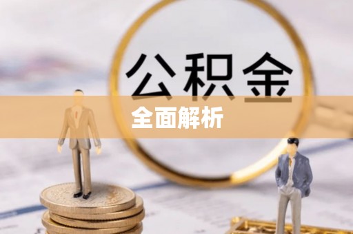 卢龙全面解析