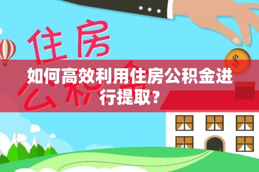 卢龙如何高效利用住房公积金进行提取？