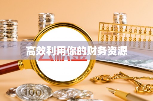 卢龙高效利用你的财务资源