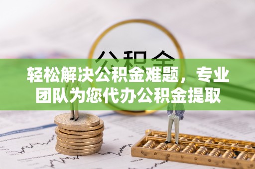 卢龙轻松解决公积金难题，专业团队为您代办公积金提取